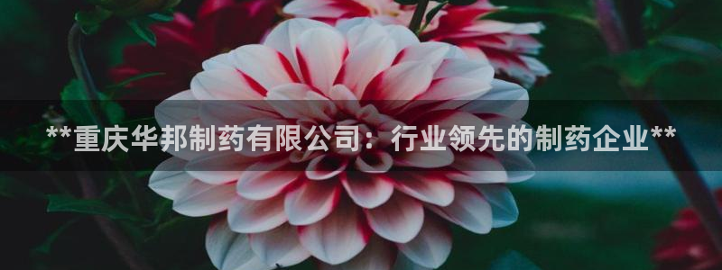 九游会老哥俱乐部官网首页：**重庆华邦制药有限公司：行业领先的制药企业**