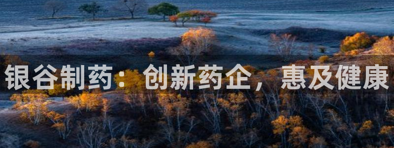 usdt九游会老哥俱乐部：银谷制药：创新药企，惠及健康