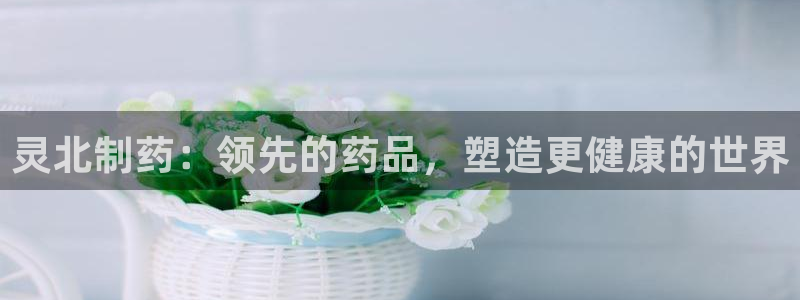 九游会老哥俱乐部论坛版：灵北制药：领先的药品，塑造更健康的世界
