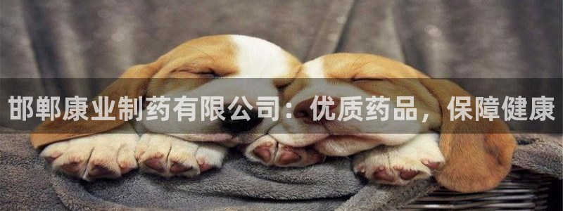 9游会老哥：邯郸康业制药有限公司：优质药品，保障健康