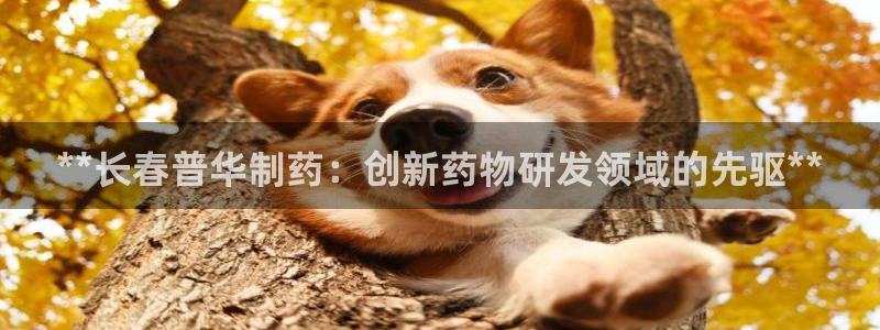 九游会老哥俱乐部交流社区：**长春普华制药：创新药物研发领域的先驱**