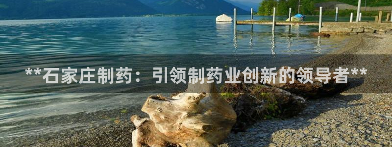 ag九游会老哥：**石家庄制药：引领制药业创新的领导者**