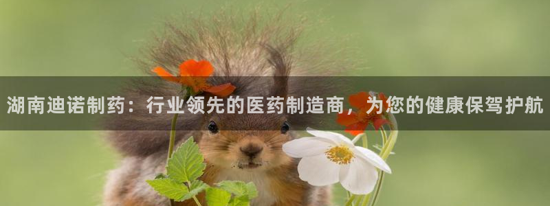 九游会老哥俱乐部官方网站：湖南迪诺制药：行业领先的医药制造商，为您的健康保驾护航
