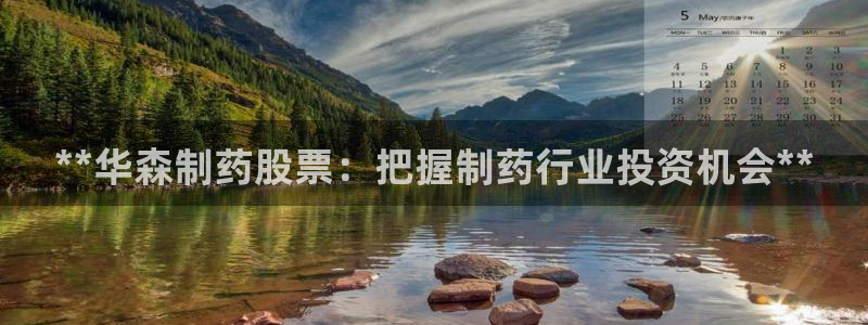 9游会老哥：**华森制药股票：把握制药行业投资机会**