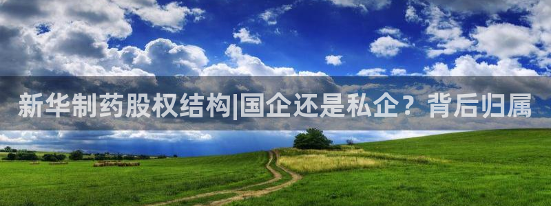 九游会老哥俱乐部必备的交流社区：新华制药股权结构|国企还是私企？背后归属