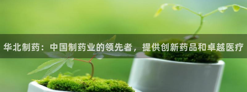 九游会老哥俱乐部官网首页论坛：华北制药：中国制药业的领先者，提供创新药品和卓越医疗