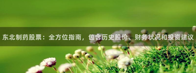 九游老哥俱乐部官网登录不了：东北制药股票：全方位指南，包含历史股价、财务状况和投资建议