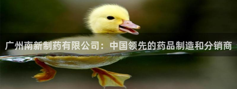 九游会老哥：广州南新制药有限公司：中国领先的药品制造和分销商