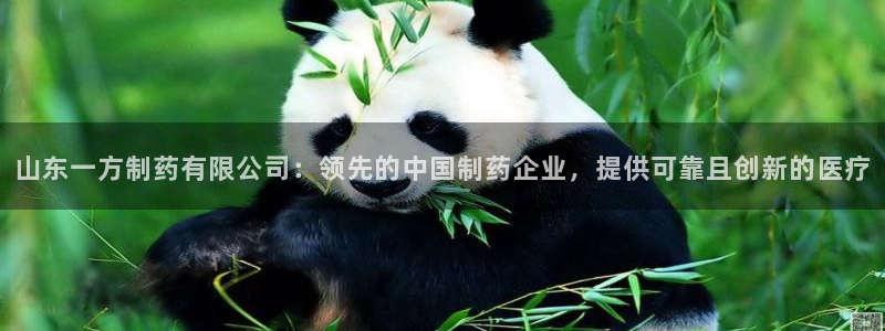 九游会老哥俱乐部官方网站：山东一方制药有限公司：领先的中国制药企业，提供可靠且创新的医疗