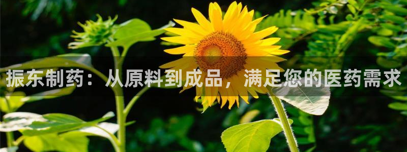 九游老哥俱乐部官网登录：振东制药：从原料到成品，满足您的医药需求