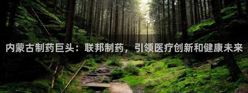 ag九游会老哥：内蒙古制药巨头：联邦制药，引领医疗创新和健康未来