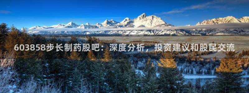 九游会老哥俱乐部：603858步长制药股吧：深度分析，投资建议和股民交流