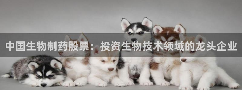 老哥俱乐部是干什么的