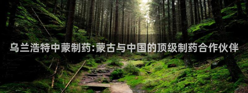 老哥吧九游会