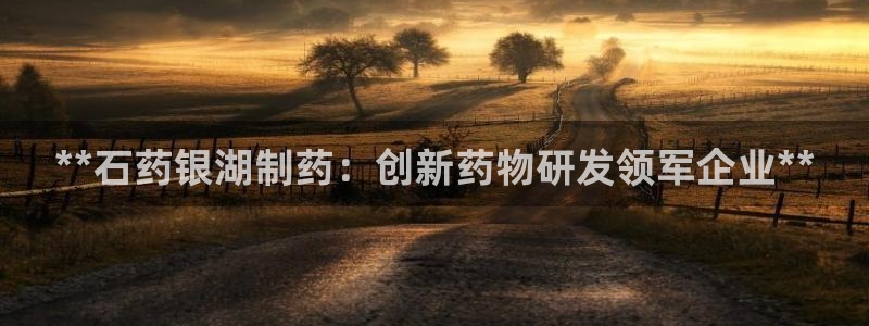 九游老哥俱乐部官网登录不了：**石药银湖制药：创新药物研发领军企业**