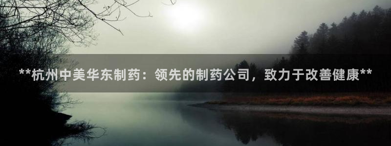 九游会老哥俱乐部：**杭州中美华东制药：领先的制药公司，致力于改善健康**