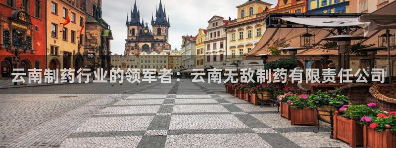 九游会老哥必备的交流社区：云南制药行业的领军者：云南无敌制药有限责任公司