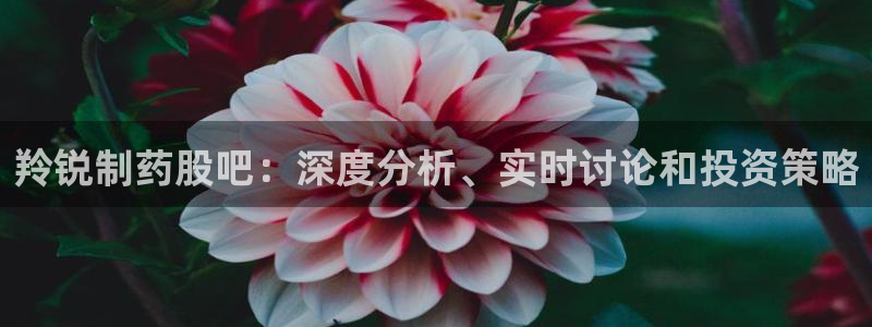 九游会老哥俱乐部论坛版：羚锐制药股吧：深度分析、实时讨论和投资策略