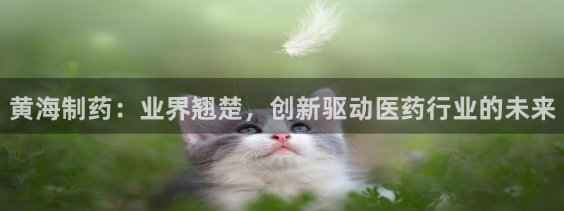 老哥吧九游会下架吗：黄海制药：业界翘楚，创新驱动医药行业的未来
