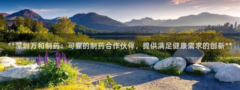 九游会老哥俱乐部交流社区：**深圳万和制药：可靠的制药合作伙伴，提供满足健康需求的创新**