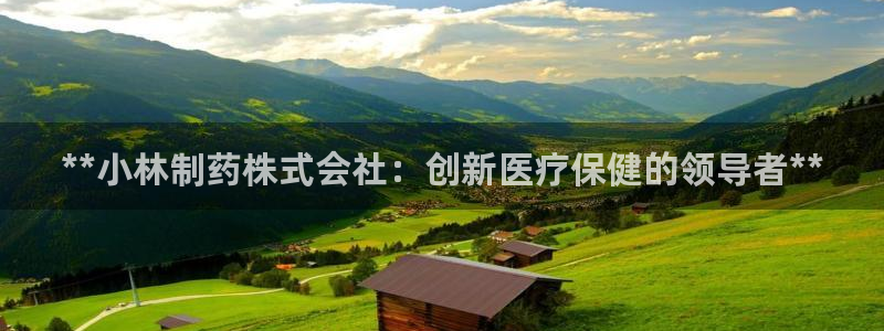 9游会老哥：**小林制药株式会社：创新医疗保健的领导者**