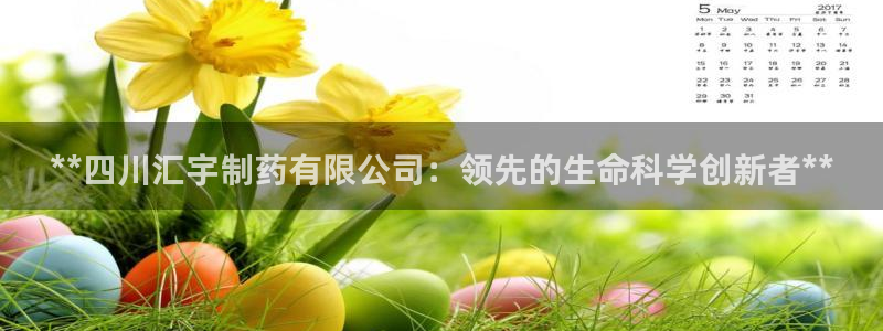 九游老哥俱乐部官网登录网址：**四川汇宇制药有限公司：领先的生命科学创新者**