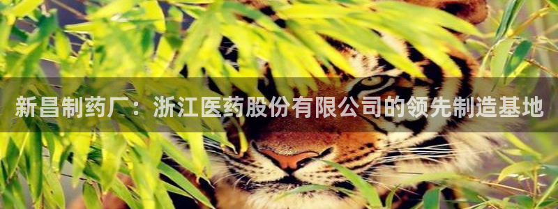 九游老哥俱乐部官网登录入口：新昌制药厂：浙江医药股份有限公司的领先制造基地