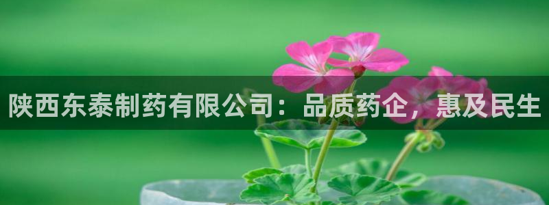 九游老哥俱乐部官网登录不了：陕西东泰制药有限公司：品质药企，惠及民生