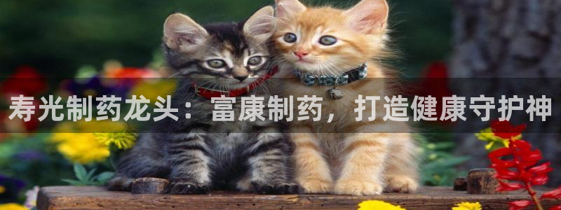九游会老哥俱乐部论坛版：寿光制药龙头：富康制药，打造健康守护神
