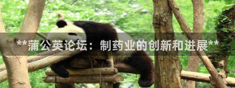 usdt九游会老哥俱乐部：**蒲公英论坛：制药业的创新和进展**