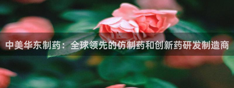 九游老哥俱乐部官网登录入口：中美华东制药：全球领先的仿制药和创新药研发制造商