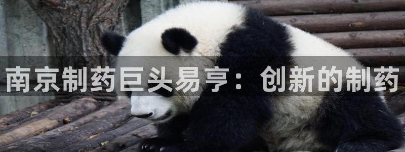 九游会老哥俱乐部论坛版：南京制药巨头易亨：创新的制药