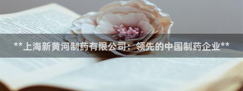 九游会老哥俱乐部必备的交流社区：**上海新黄河制药有限公司：领先的中国制药企业**