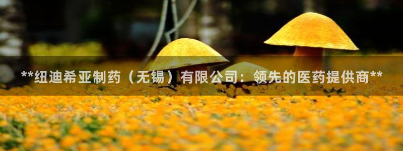 ag九游老哥俱乐部：**纽迪希亚制药（无锡）有限公司：领先的医药提供商**