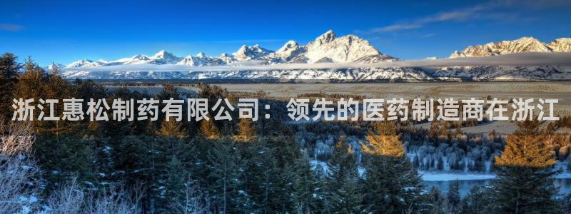 九游老哥俱乐部官网登录不了：浙江惠松制药有限公司：领先的医药制造商在浙江