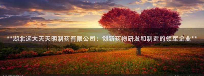 九游会老哥俱乐部论坛版：**湖北远大天天明制药有限公司：创新药物研发和制造的领军企业**