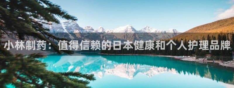 九游老哥俱乐部官网登录不了：小林制药：值得信赖的日本健康和个人护理品牌