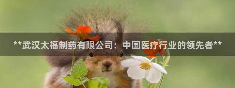 九游会老哥俱乐部必备的交流社区论坛：**武汉太福制药有限公司：中国医疗行业的领先者**