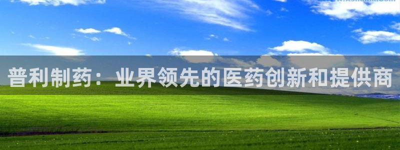 九游会老哥必备的交流社区九：普利制药：业界领先的医药创新和提供商
