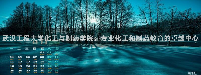 九游会老哥俱乐部官网首页论坛：武汉工程大学化工与制药学院：专业化工和制药教育的卓越中心