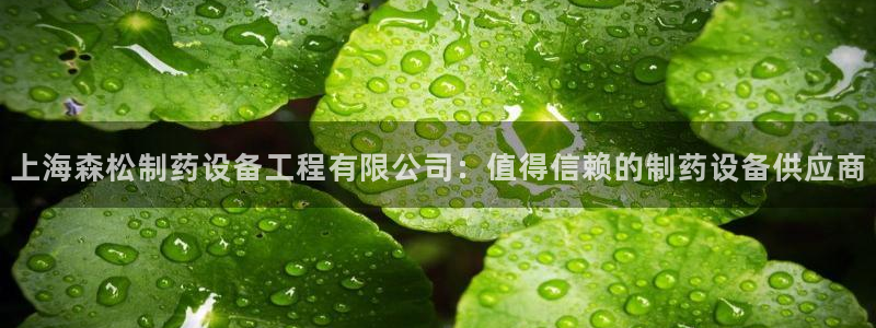 九游老哥俱乐部官网登录不了：上海森松制药设备工程有限公司：值得信赖的制药设备供应商