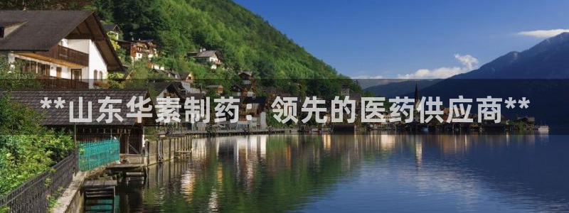 9游会老哥：**山东华素制药：领先的医药供应商**