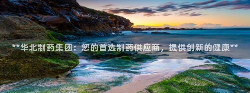 ag九游会老哥：**华北制药集团：您的首选制药供应商，提供创新的健康**