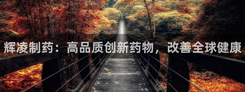 老哥俱乐部是干什么的：辉凌制药：高品质创新药物，改善全球健康