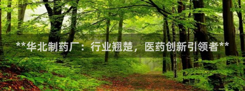 j9九游会老哥俱乐部交流区：**华北制药厂：行业翘楚，医药创新引领者**