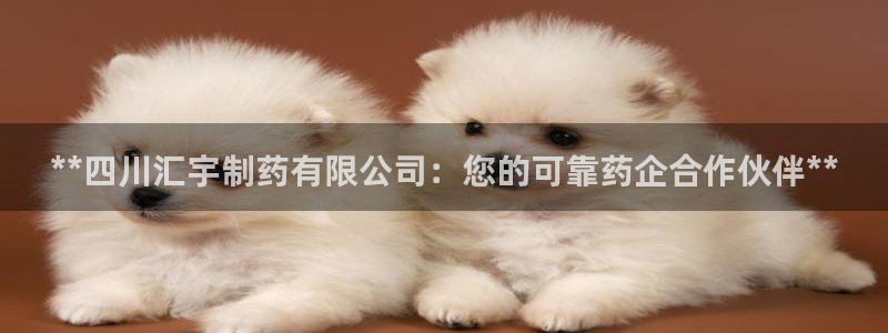 9游会老哥：**四川汇宇制药有限公司：您的可靠药企合作伙伴**