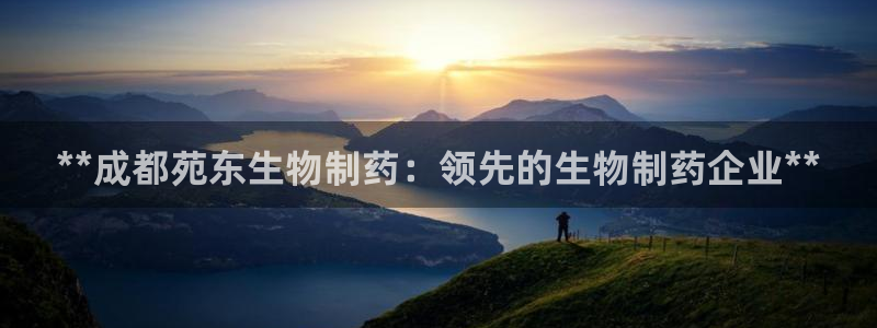 九游会老哥必备的交流社区九：**成都苑东生物制药：领先的生物制药企业**