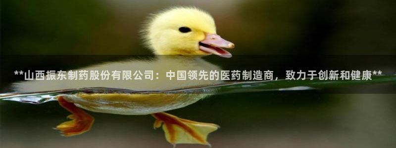 九游会老哥俱乐部官方网站：**山西振东制药股份有限公司：中国领先的医药制造商，致力于创新和健康**