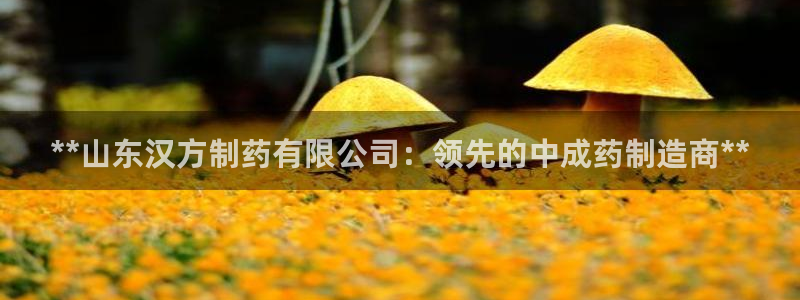 九游老哥俱乐部官网登录：**山东汉方制药有限公司：领先的中成药制造商**