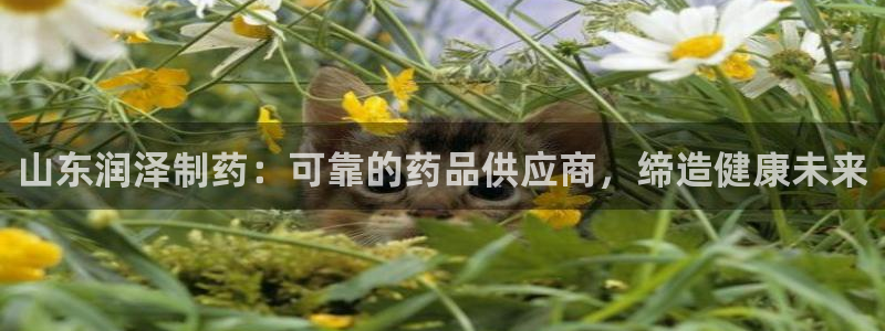 九游会老哥俱乐部社区论坛：山东润泽制药：可靠的药品供应商，缔造健康未来
